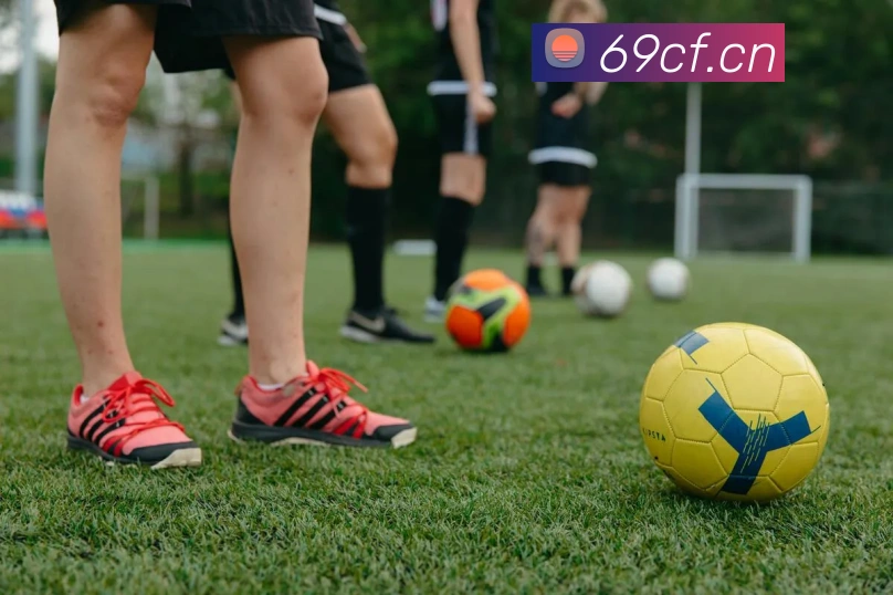 云开体育app官网体验版发展历程